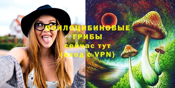 МДПВ Зерноград