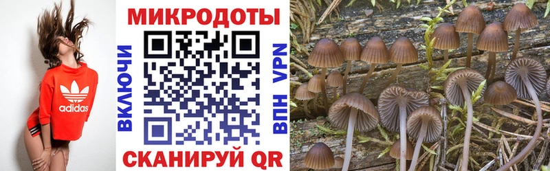 Псилоцибиновые грибы мицелий  Купить  Сосновоборск 